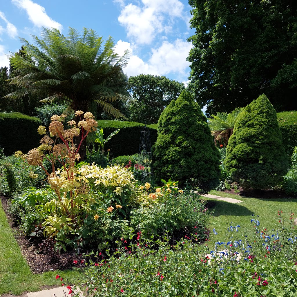 garden borders