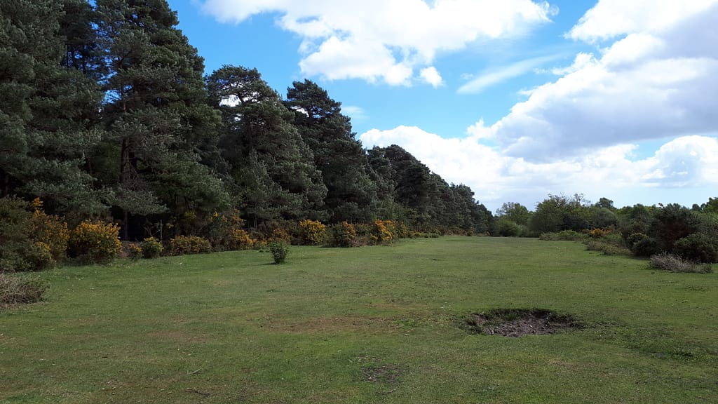 broadley plain