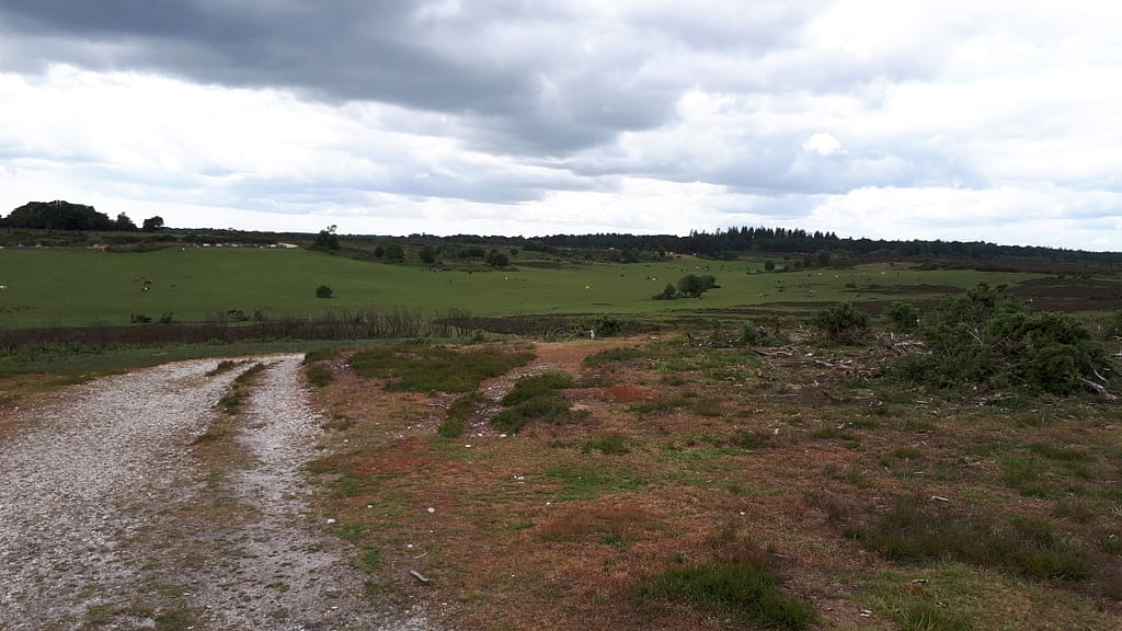 Longslade towards Hinchelsea