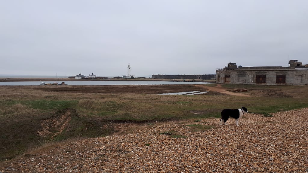 Hurst Castle