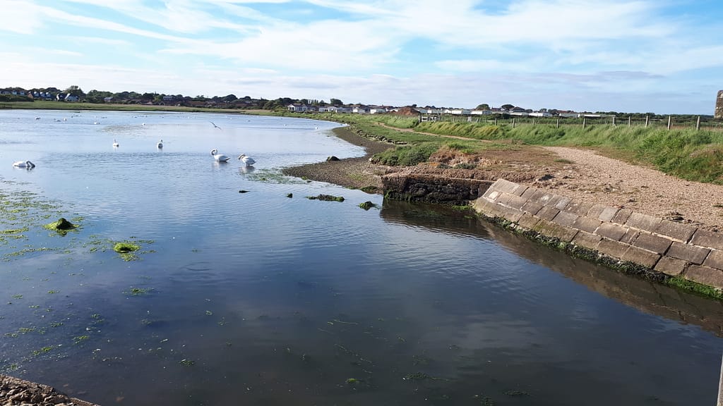 Sturt Pond, Milford on Sea