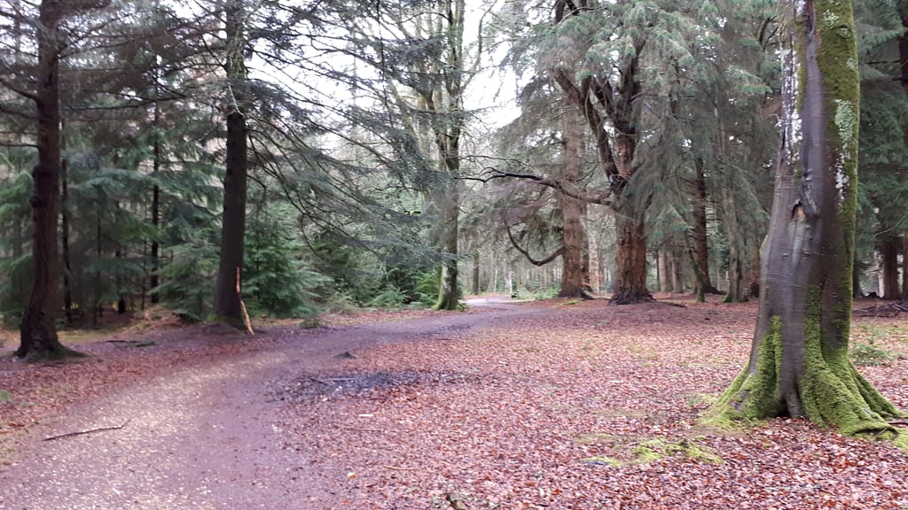 easy walkways for all