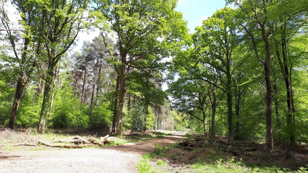 main tracks in Broadley