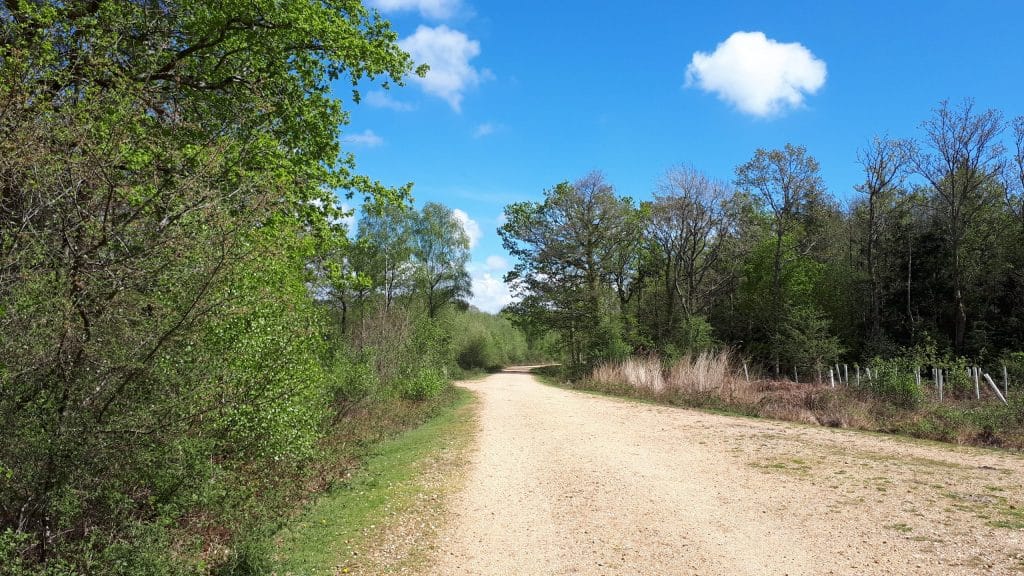 Wootton Bridge Inclosure