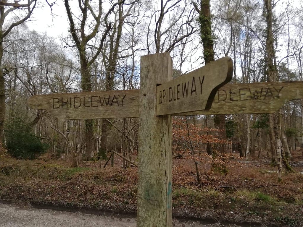 which way next?