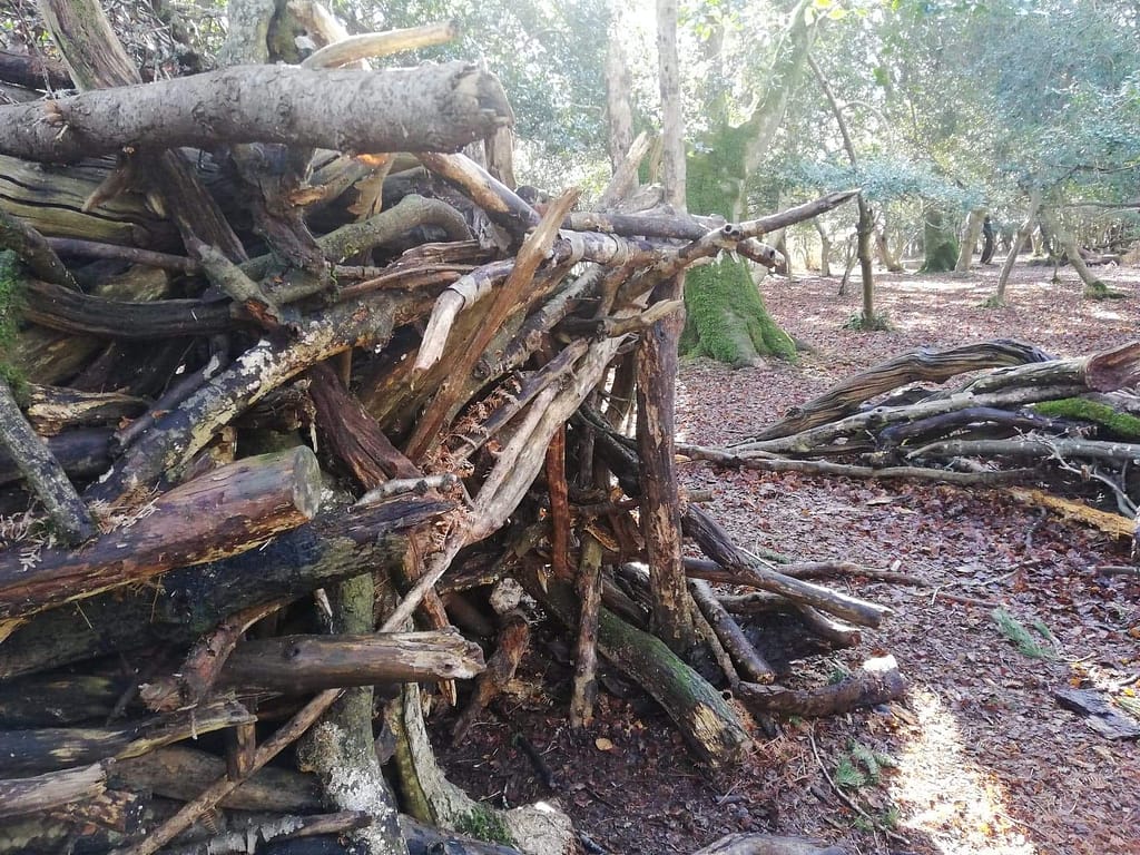 stick house in Hinchelsea woods