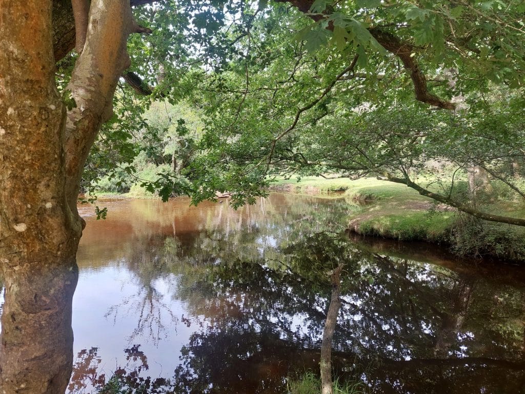 Bolderford reflections
