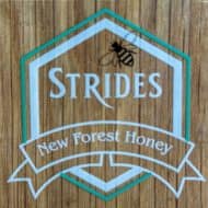 Strides honey logo