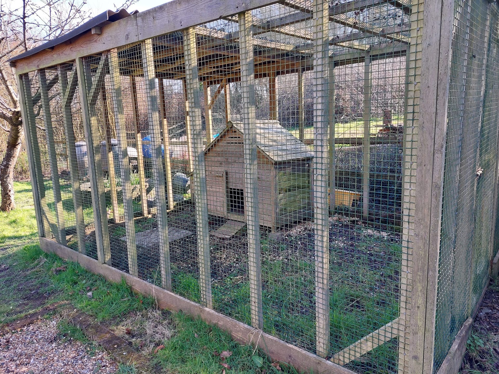 restored and repaired henhouse