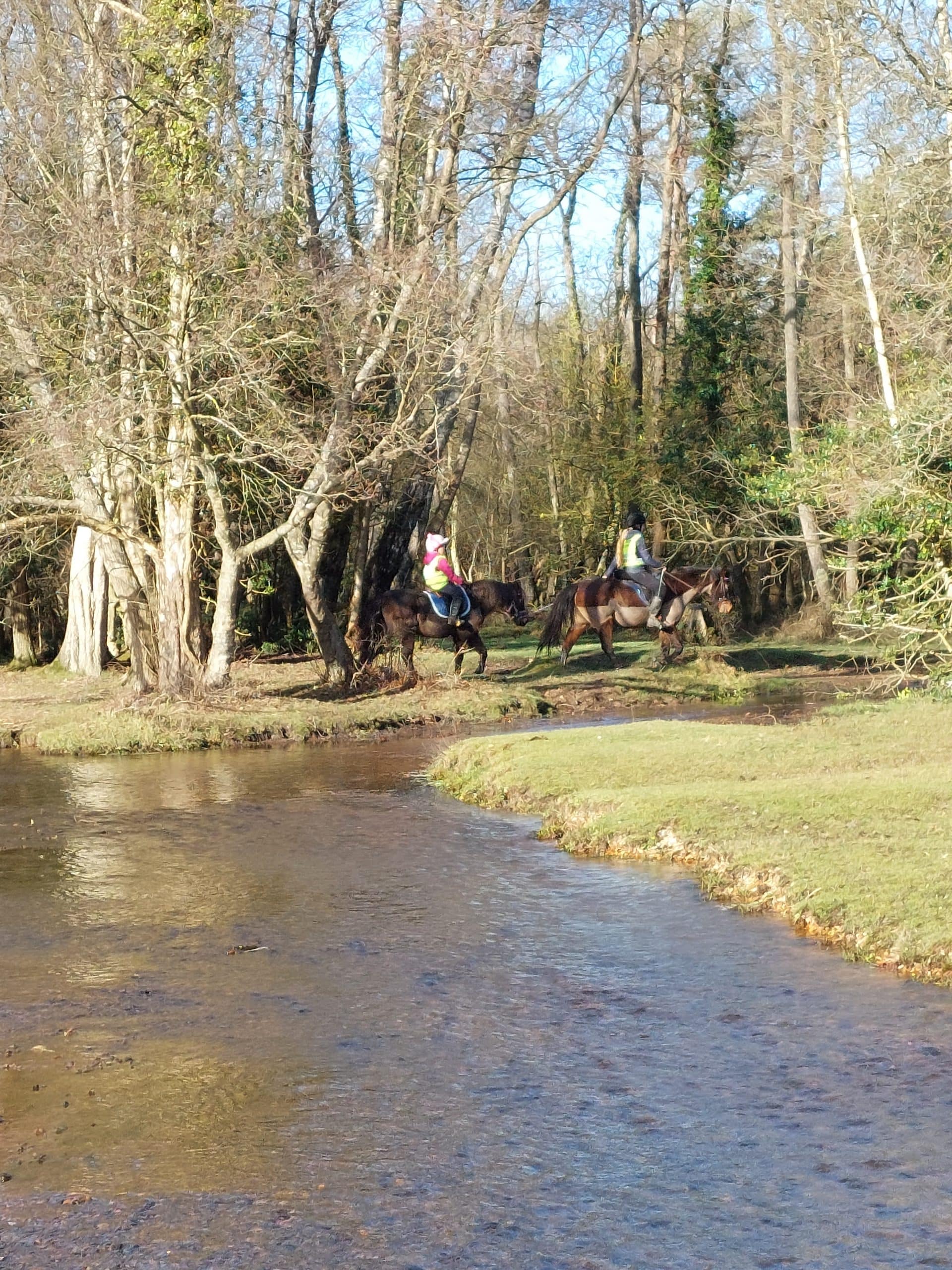 ponies crossing stream