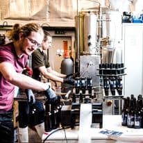 pig beer brewery