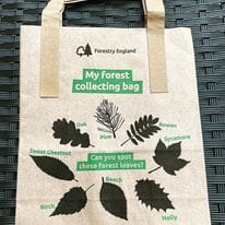 collecting bag for children