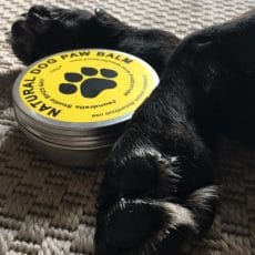 dog paw balm from Puresoapiness