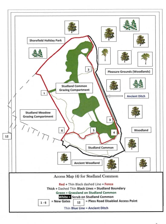 studland common