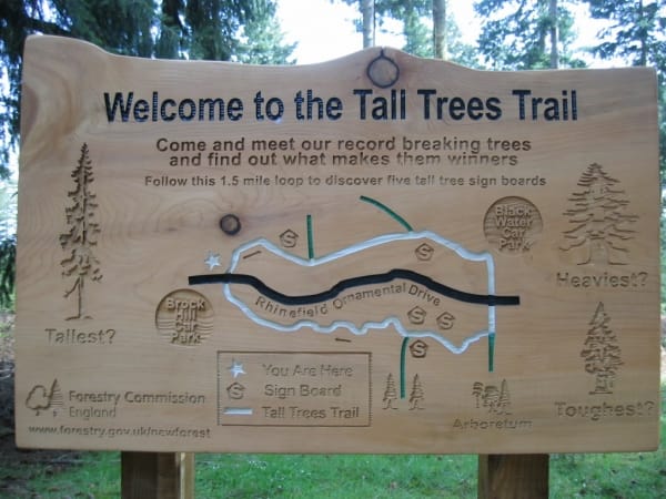 Tall Trees Trail