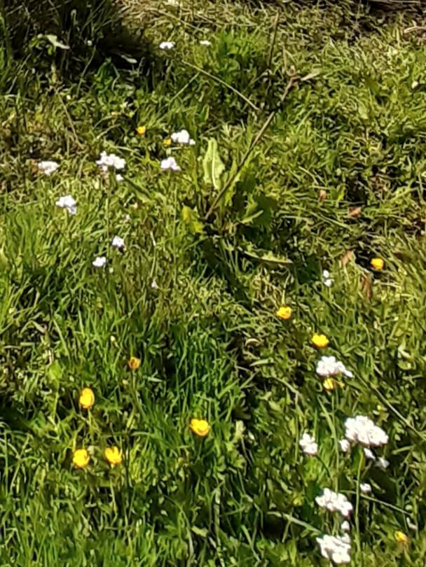 signs of spring