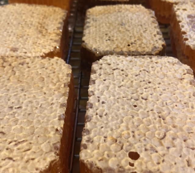 Watsons honeycombs