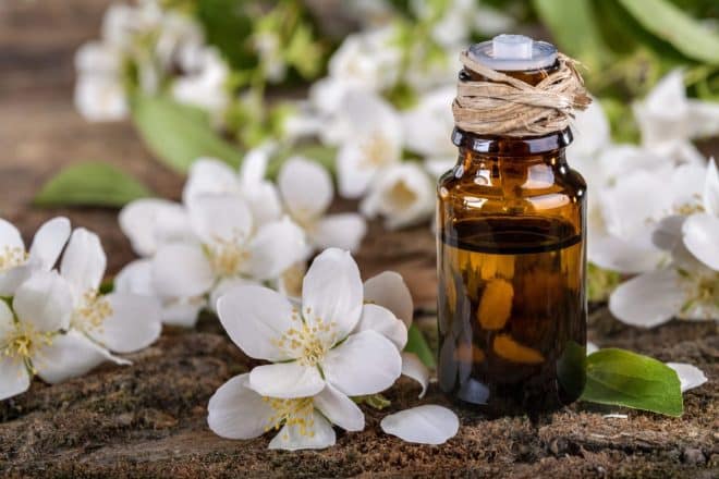 jasmine oil - NF aromatics