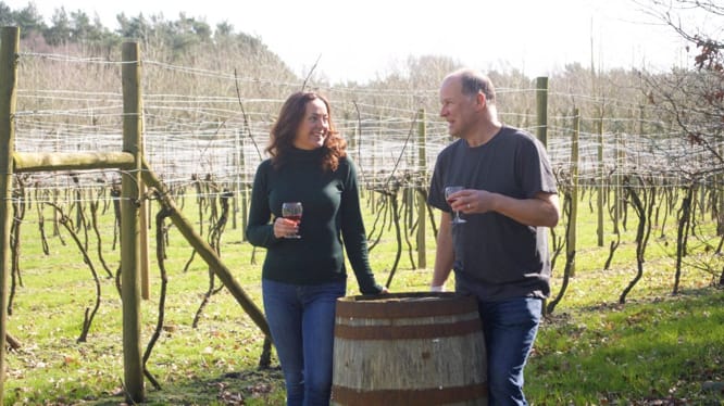 Girlings - wine makers