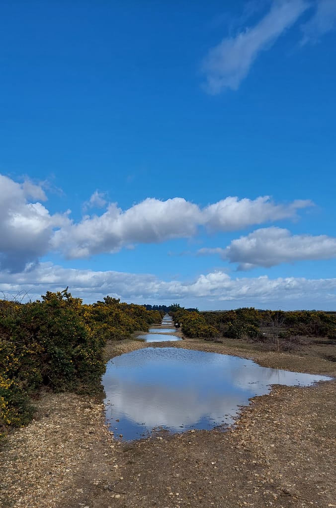 puddly track