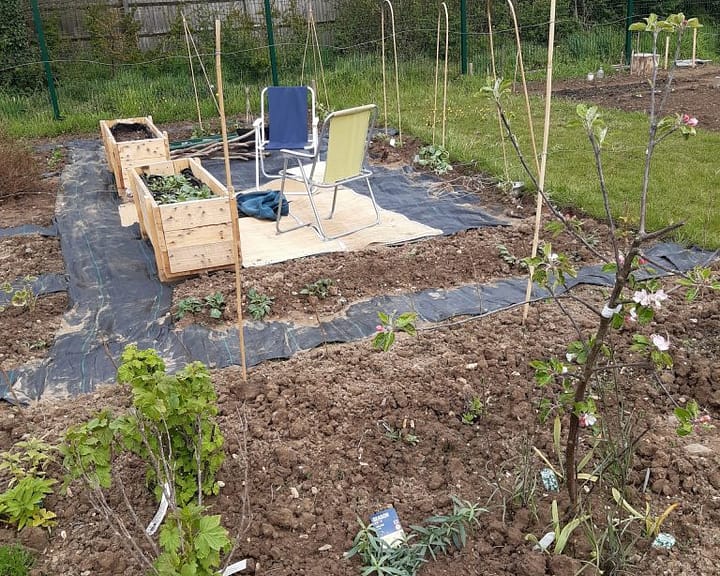 our plot early May