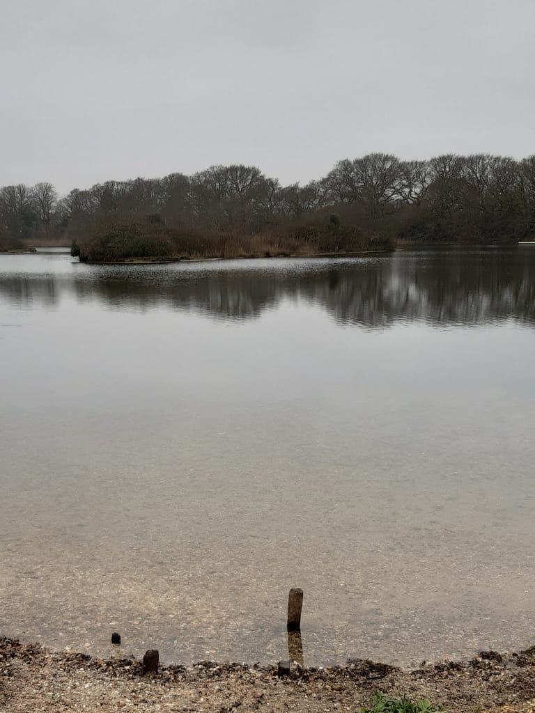 winter on 8Acres