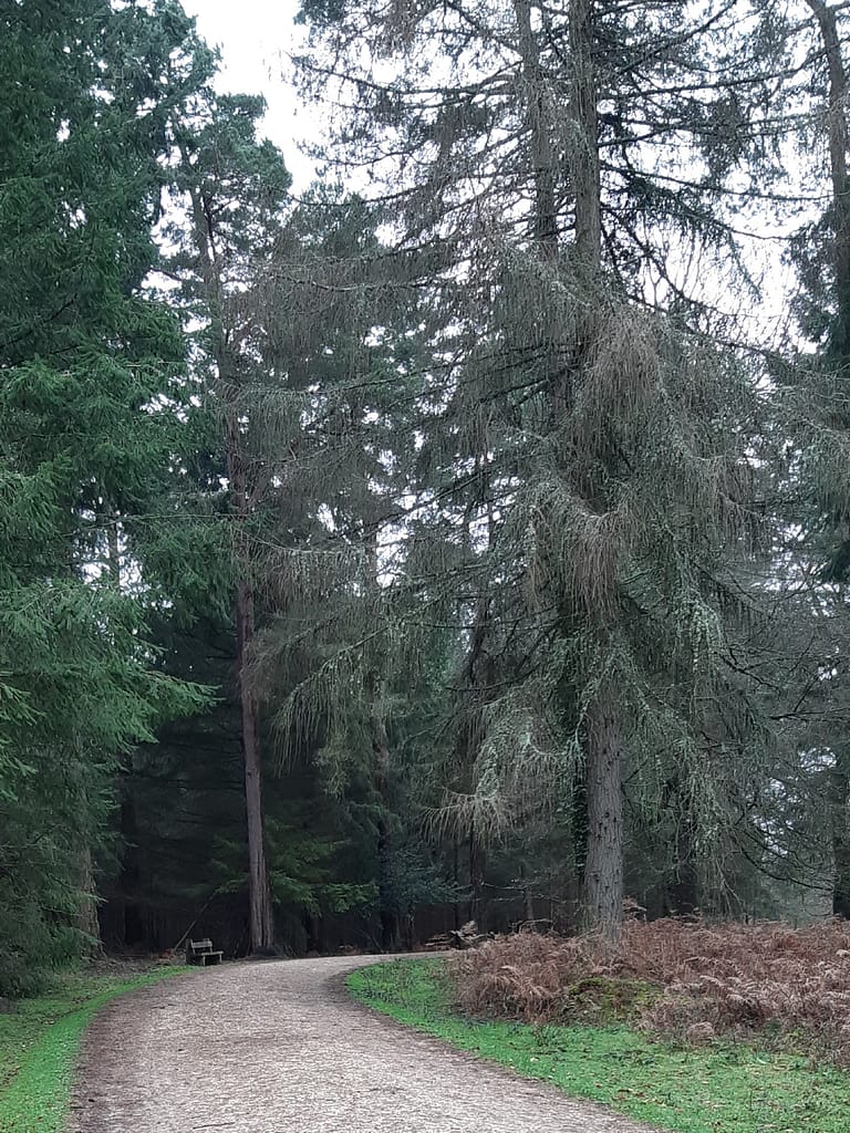 benches to rest