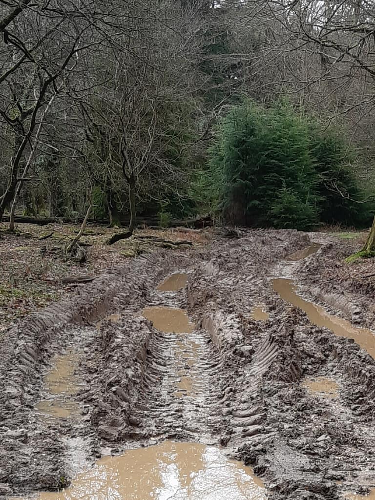 muddy tracks after felling operations