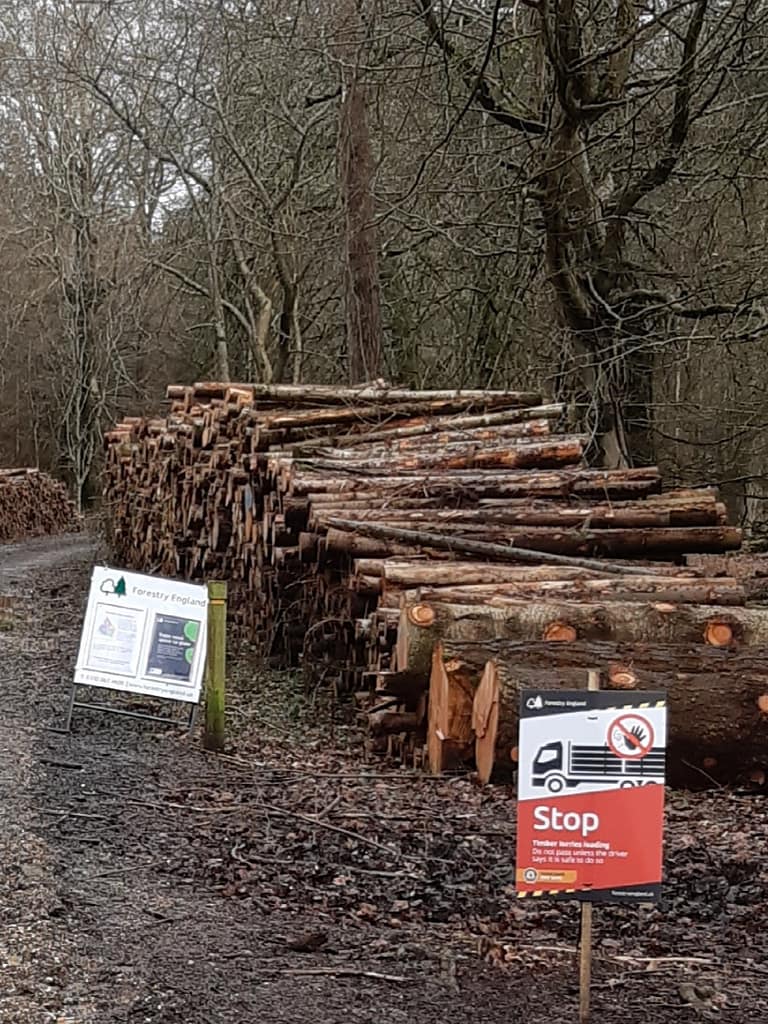 Forestry England at work