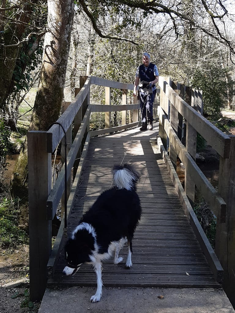 over the bridge