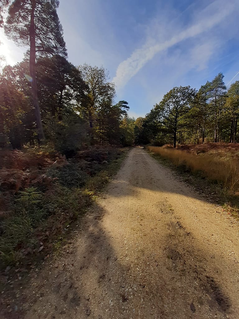 inclosure tracks