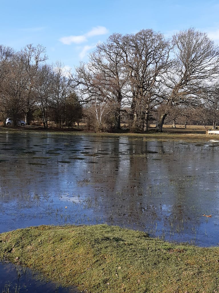 frozen floods near Tilery car park in winter
