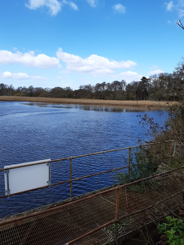from the old tollbridge road