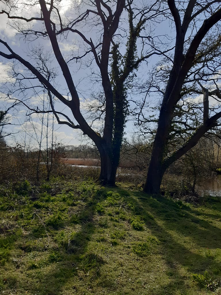 good place for a picnic
