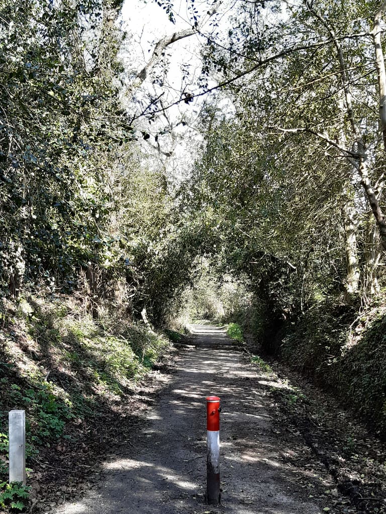path back into Boldre