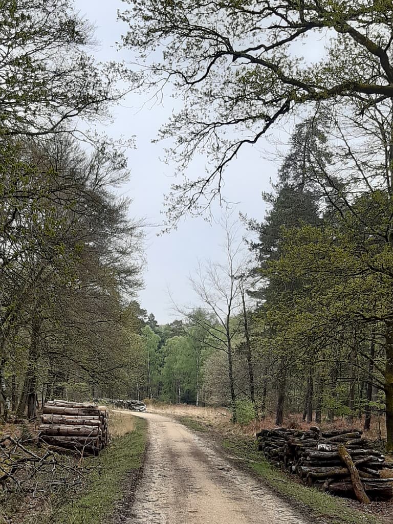 within Standing hat Inclosure