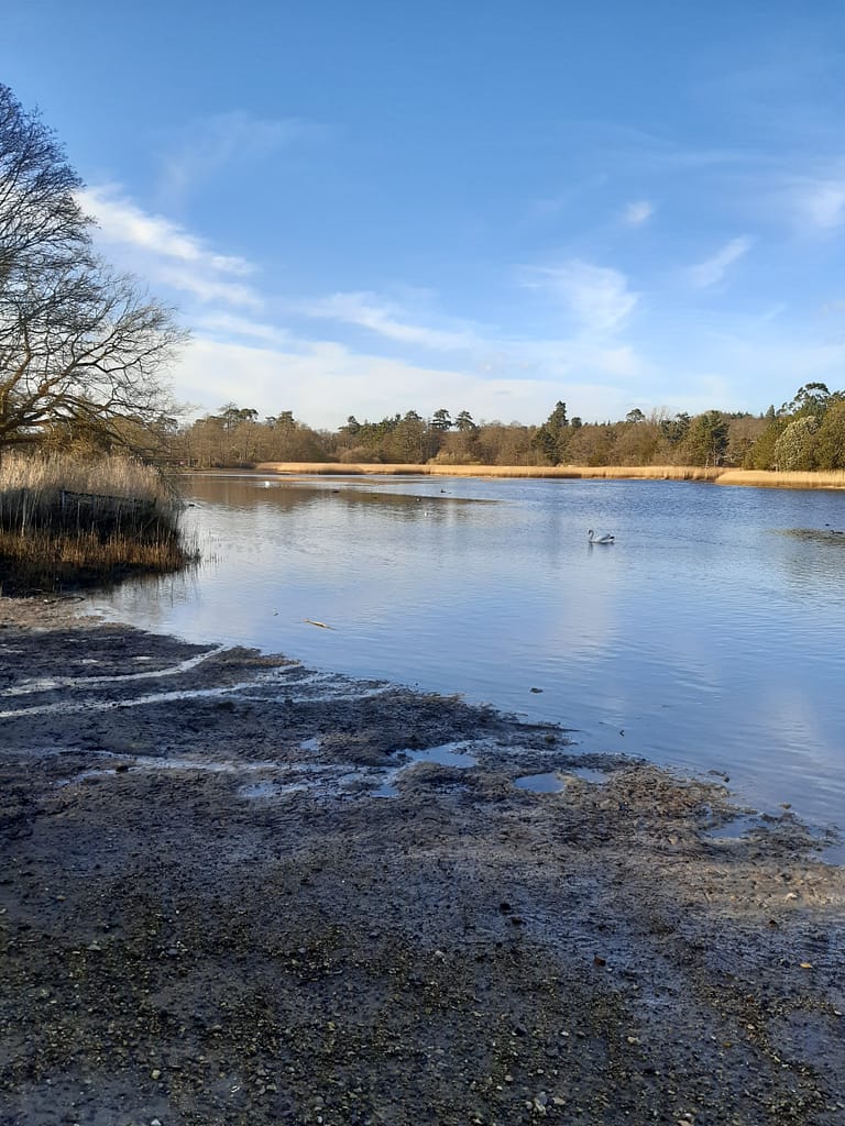 banks of the Beaulieu river