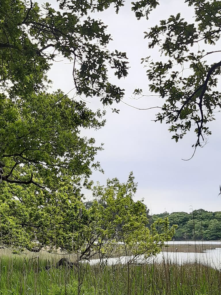 beaulieu river