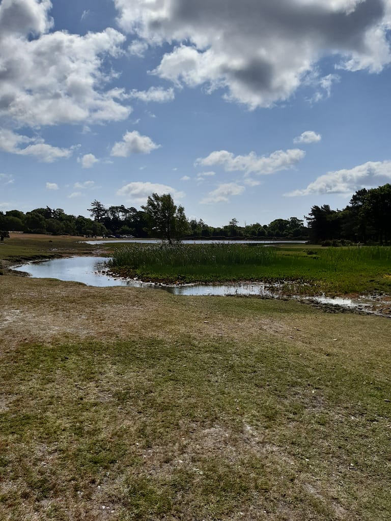 far end of hatchet Pond