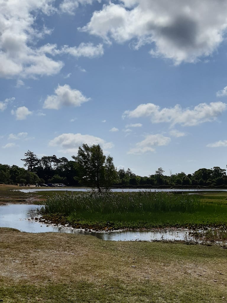 northen end of Hatchet Pond