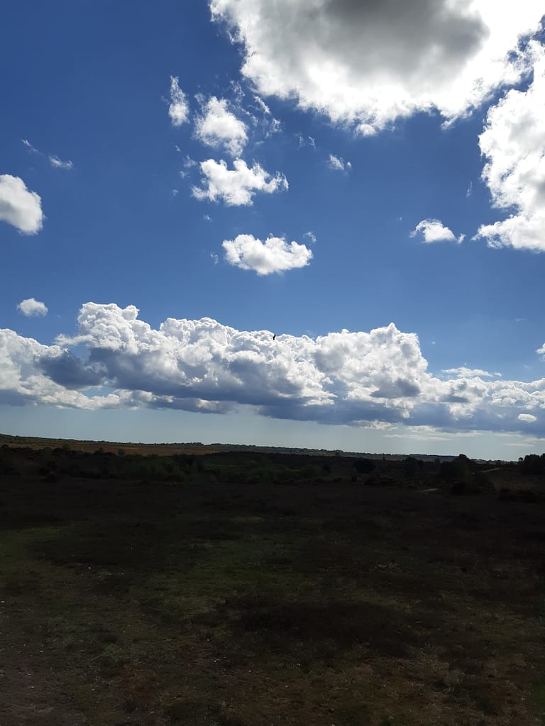 big skies over the heath