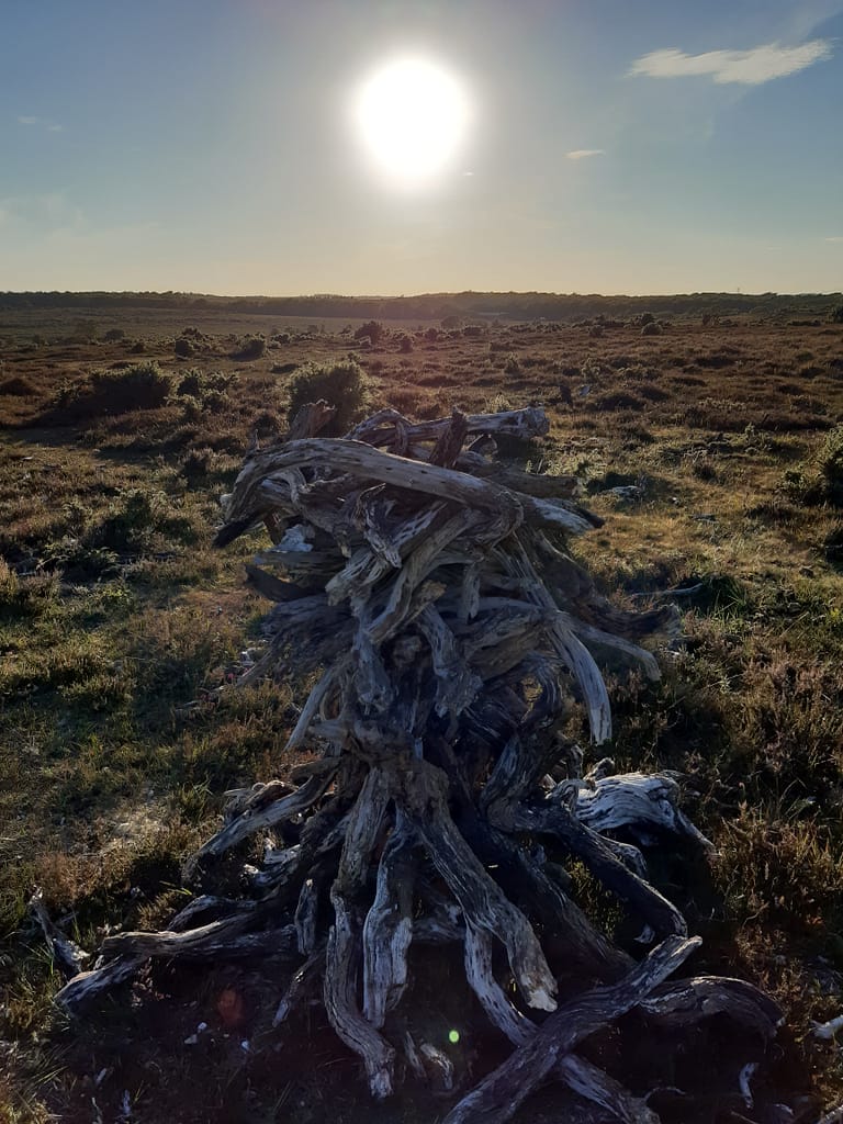 in worship of the solstice