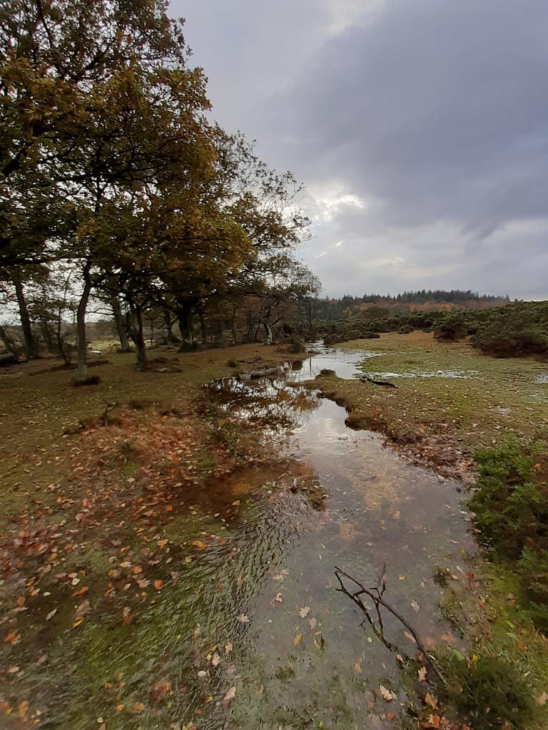 valley bottom in autumn