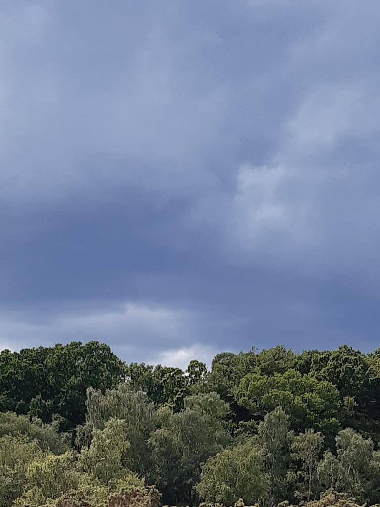 rain threatening
