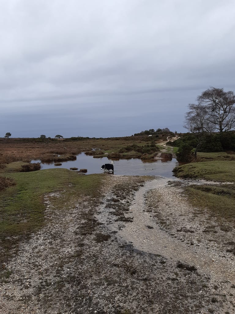 Cwtch's main aim is to get here!