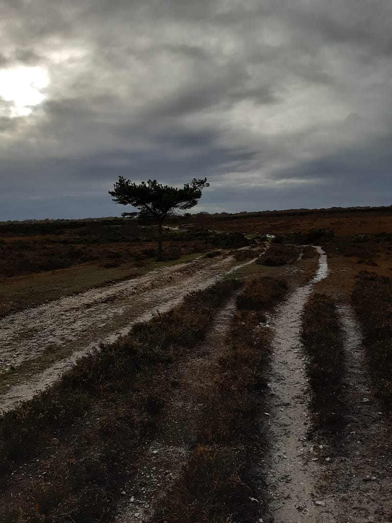 chalky tracks