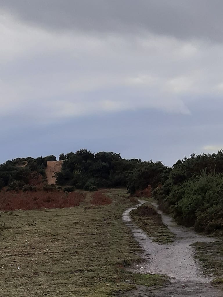 Bronze Age barrow