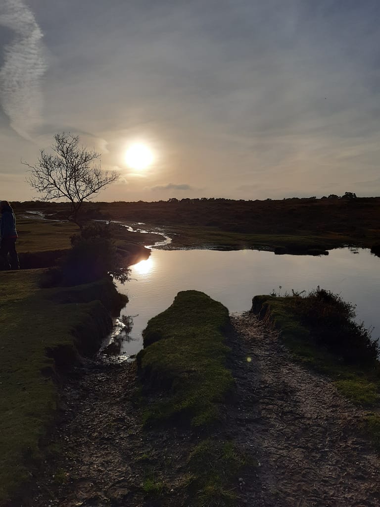 dusk at the stream
