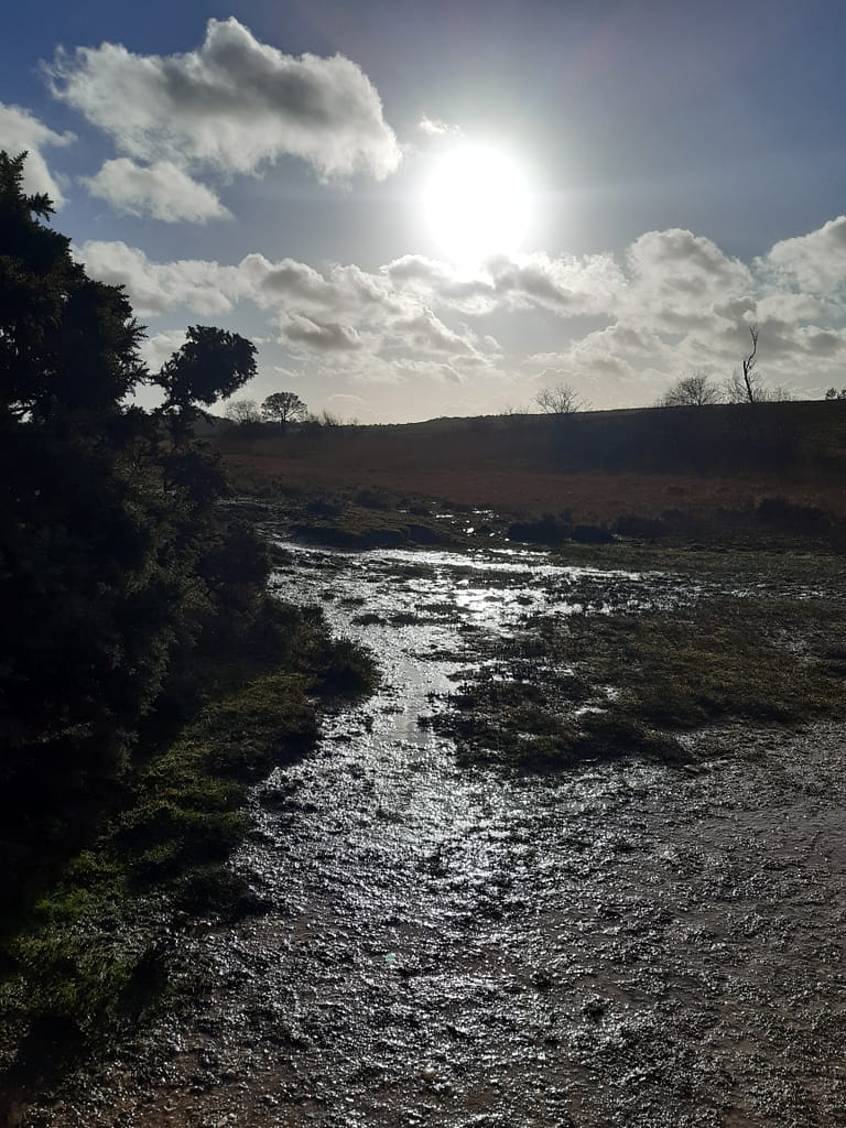 winter flooding