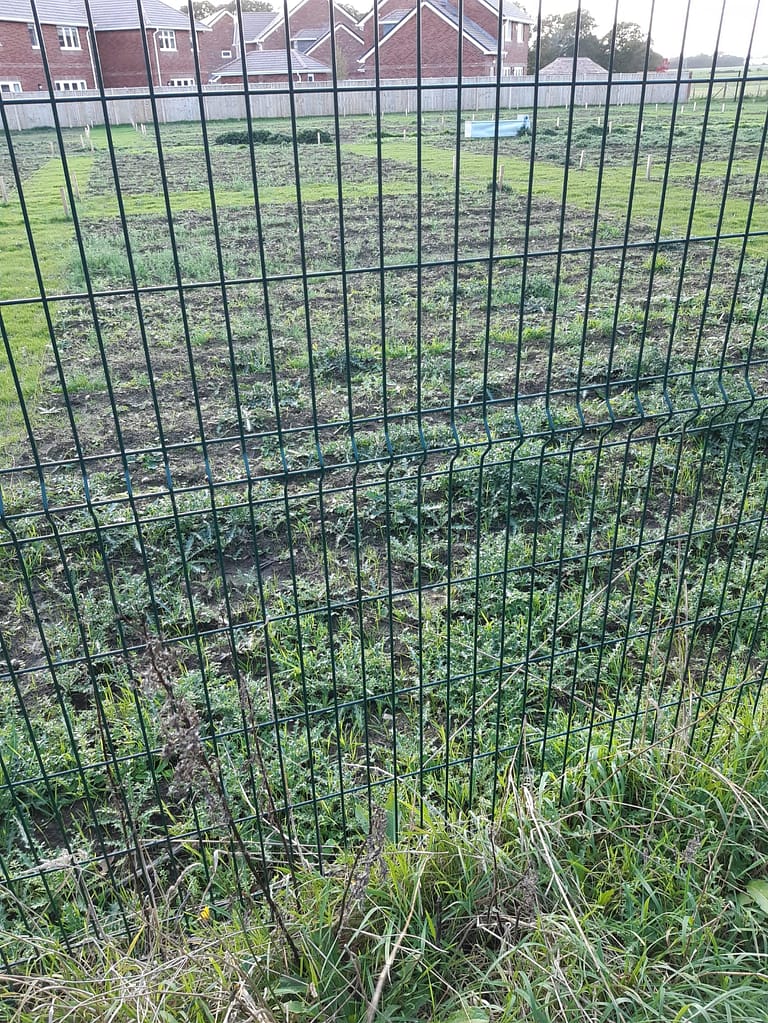 Plot A20